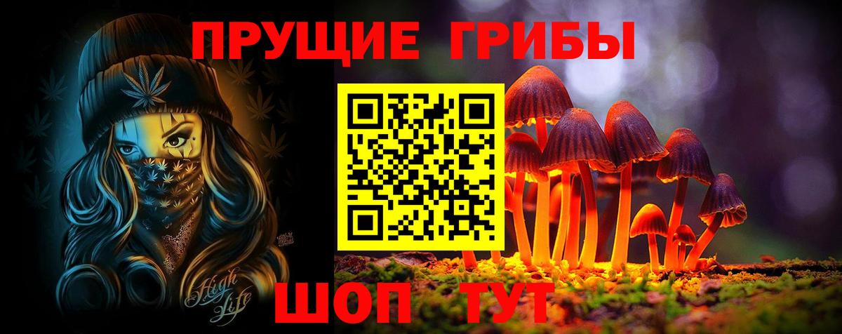Псилоцибиновые грибы прущие грибы Семилуки