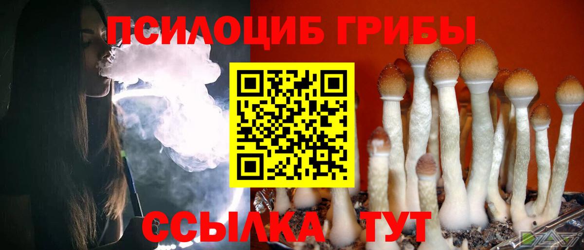 Галлюциногенные грибы Psilocybe  сколько стоит  Семилуки  Вход с VPN 
