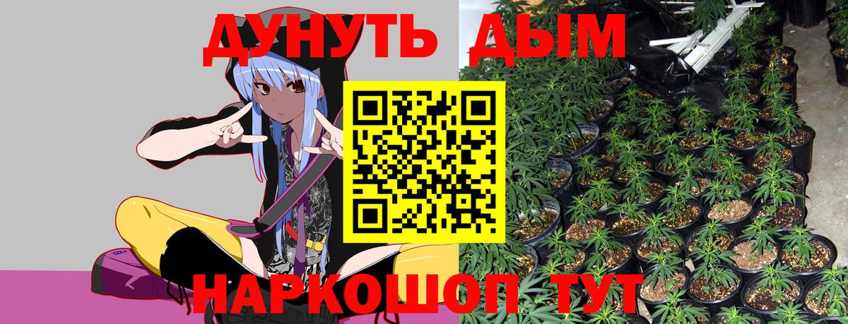 Бошки Шишки гибрид  Конопля MAZAR  Семилуки  Вход с VPN 